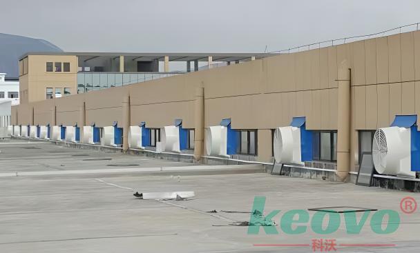 1711090560395588.jpg 54558cdd-cb07-4236-b3a9-3b4b8fcb363a.jpg